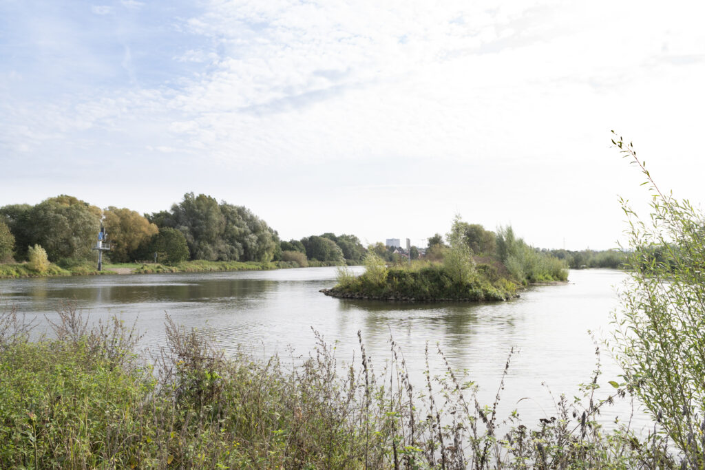 Der Anschluss der Ökopolders an die Weser - hierdurch bleibt das Wasser im Ökopolder in Bewegung und gleichzeitig können die Tiere aus der Weser in einen beruhigten Bereich gelangen