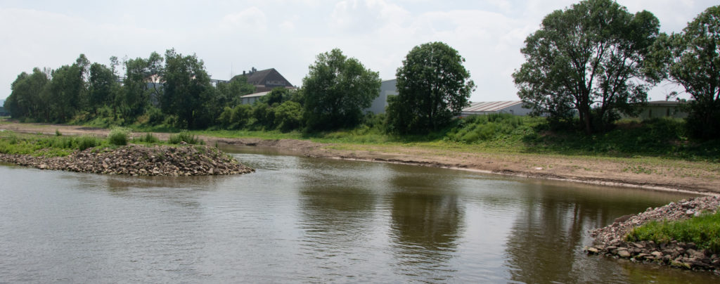 Ein neuer Arm für die Weser bei Minden - Renaturierung nach Kiesabbau